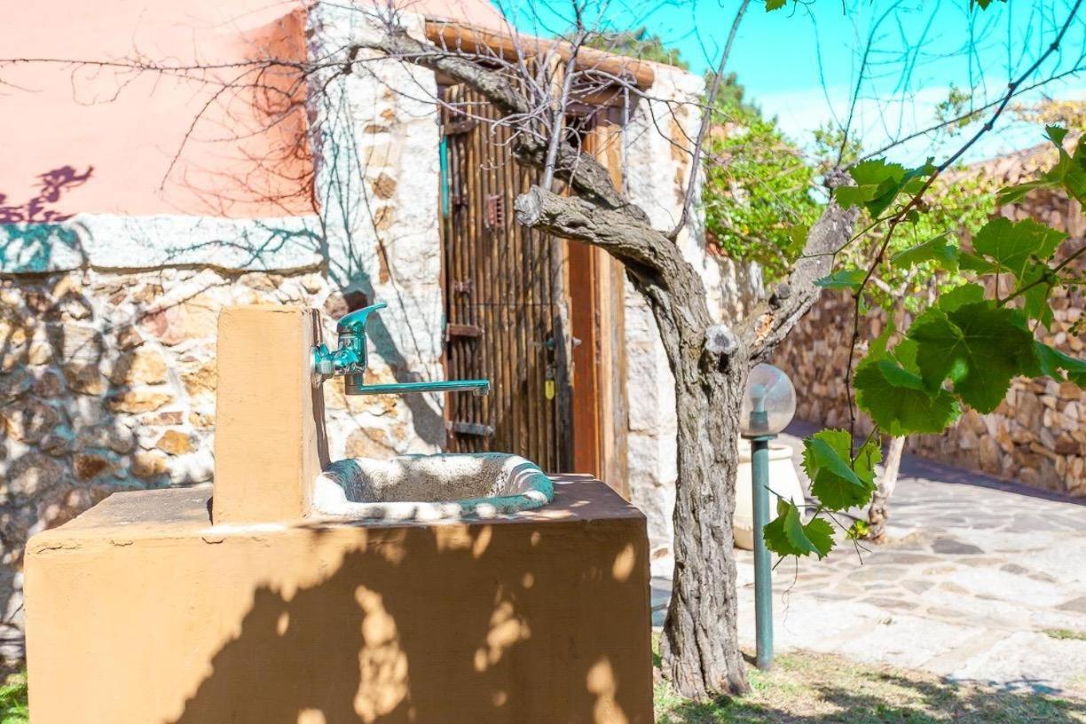 B&B Pettirosso Garden San Teodoro  Kültér fotó