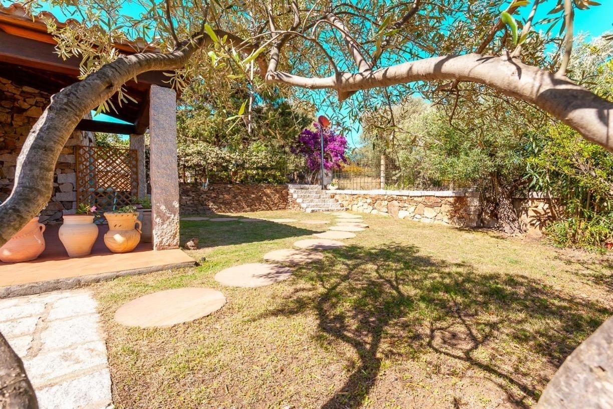 B&B Pettirosso Garden San Teodoro  Kültér fotó