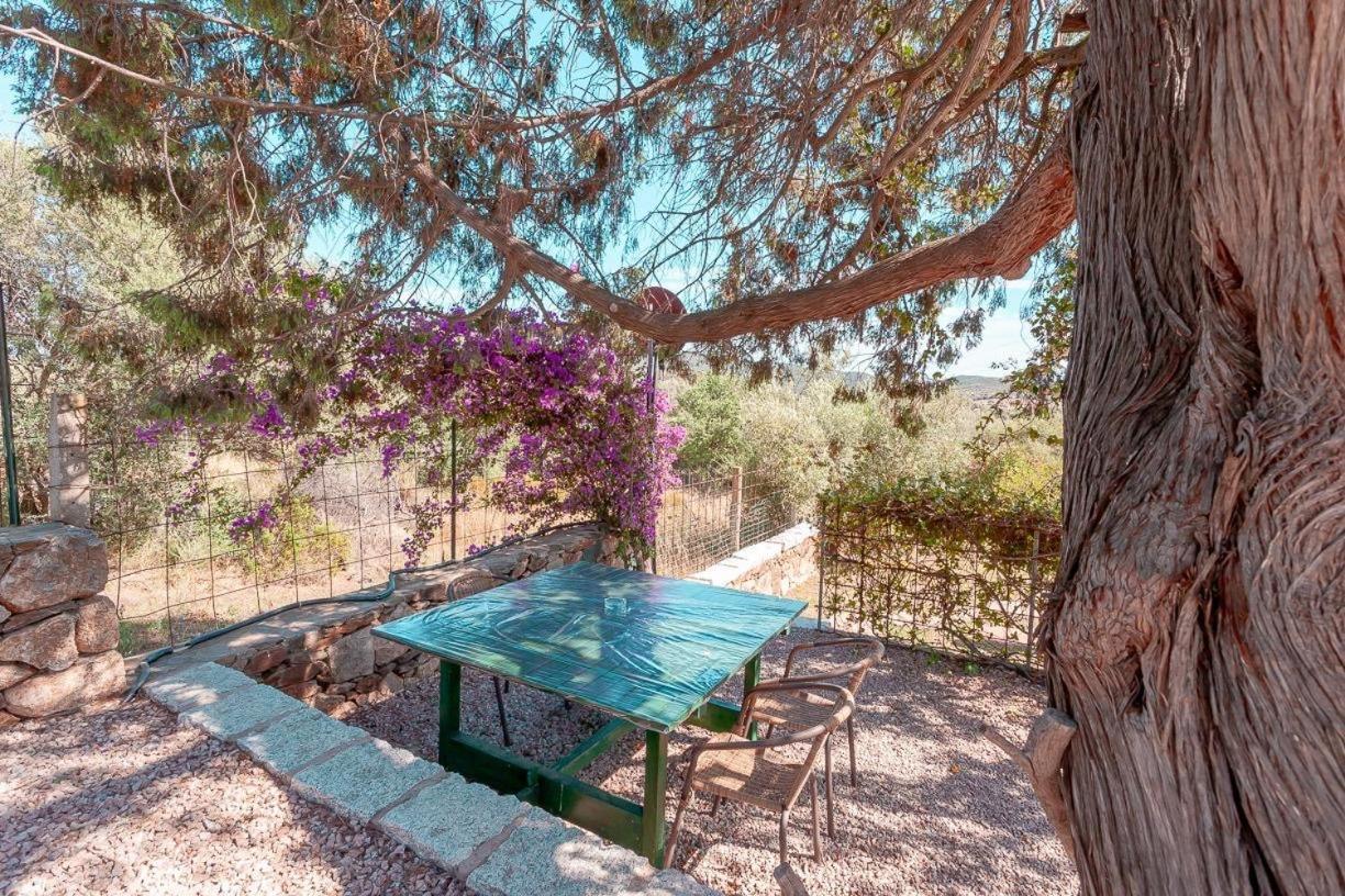 B&B Pettirosso Garden San Teodoro  Kültér fotó